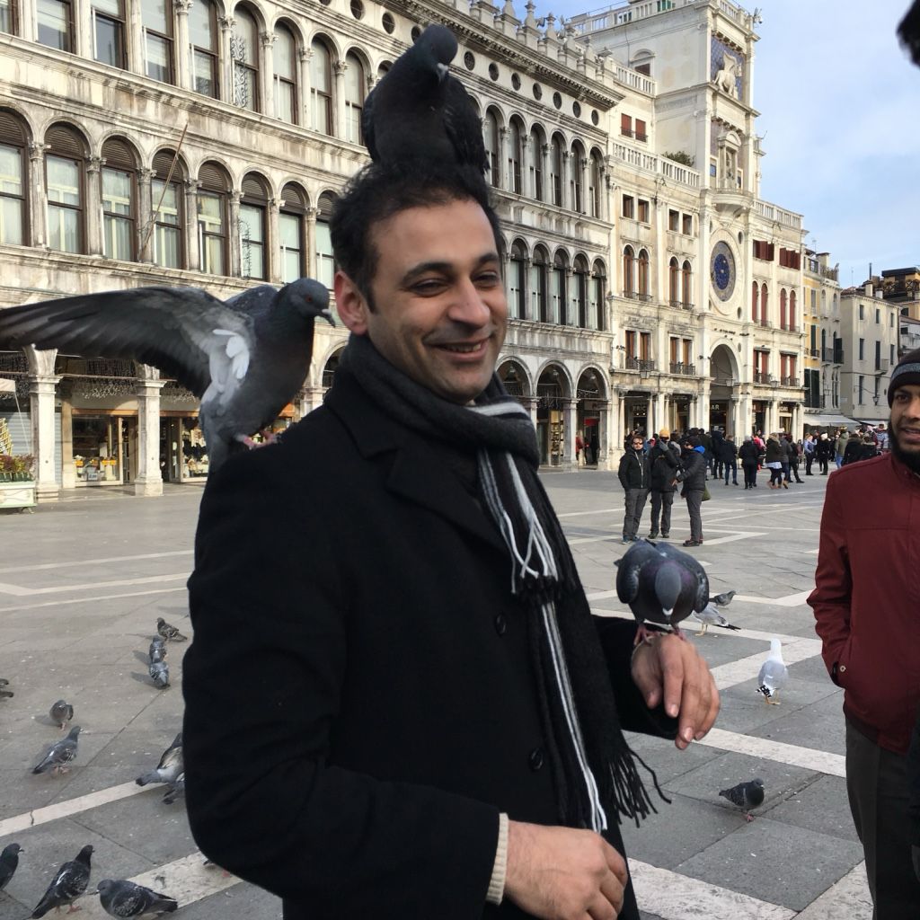 Fun moment with pigeons in Venice